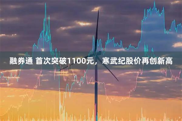 融券通 首次突破1100元，寒武纪股价再创新高