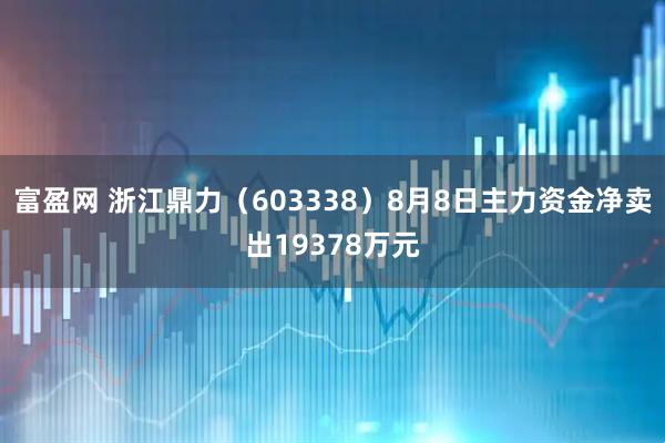 富盈网 浙江鼎力（603338）8月8日主力资金净卖出19378万元