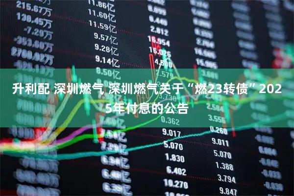升利配 深圳燃气 深圳燃气关于“燃23转债”2025年付息的公告