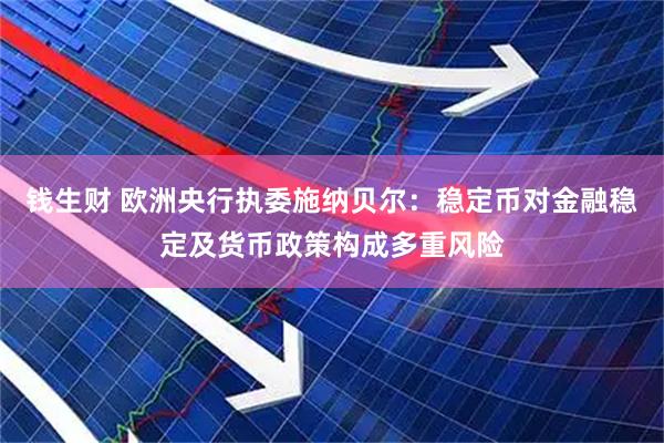 钱生财 欧洲央行执委施纳贝尔：稳定币对金融稳定及货币政策构成多重风险